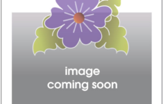 Antique Lace Stencil