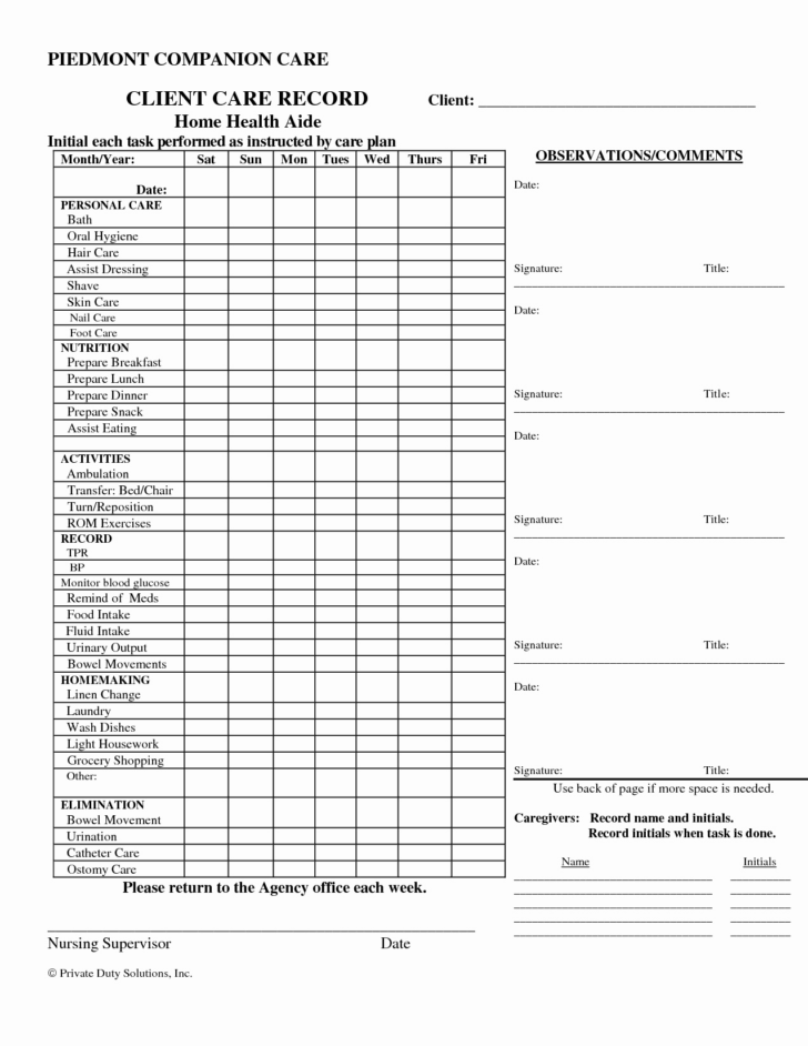 Printable Home Caregiver Timesheet/Daily Log Sheet