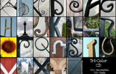 creative alphabet photography Creative Alphabet Photography