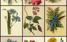 Free Clipart pattern And Backgrounds art Images textile Digital Free