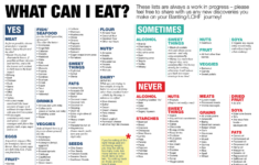 free printable atkins diet plan free printable Free Printable Atkins Diet Plan Free Printable