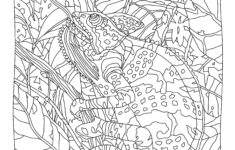 hidden predators coloring book animal coloring pages animal coloring Hidden Predators Coloring Book Animal Coloring Pages Animal Coloring
