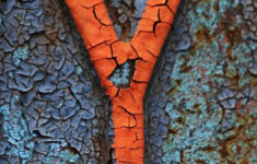 Image Result For Free Printable Alphabet Photography Letters Alphabet