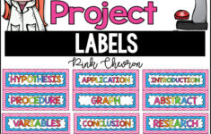 Science Fair Project Labels Pink Chevron With EDITABLE Title Labels