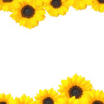 Sunflower Invitation Template Invitations Online