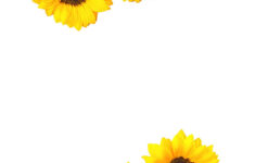 Sunflower Invitation Template Invitations Online