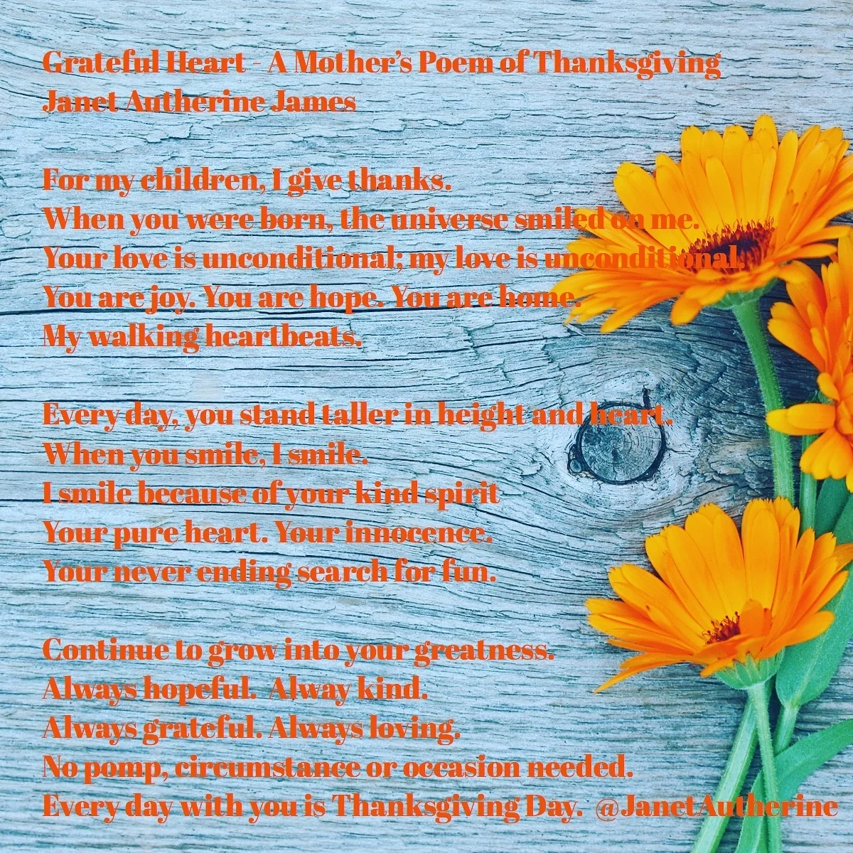 A Mothers Poem Of Thanksgiving
