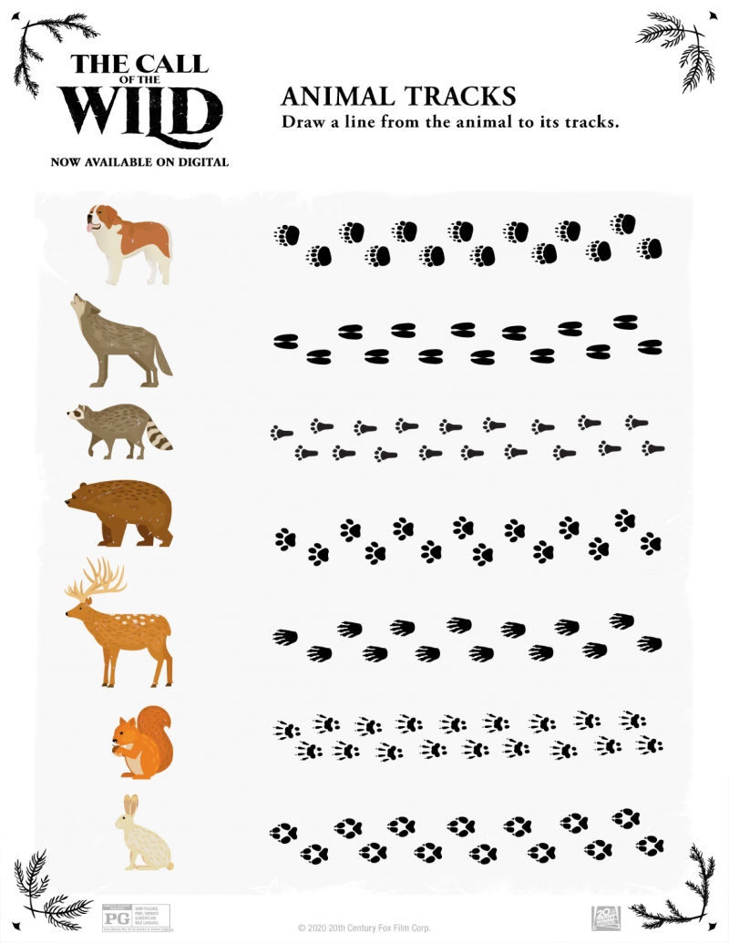 Animal Tracks Activity Page Animal Tracks Activity Page