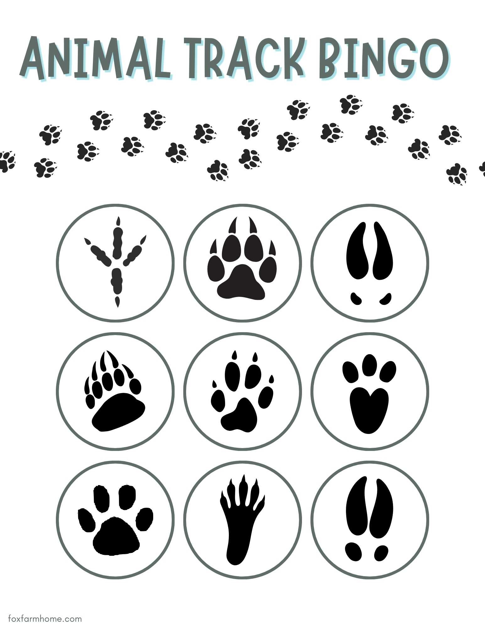 Animal Tracks Bingo Animal Tracks Bingo