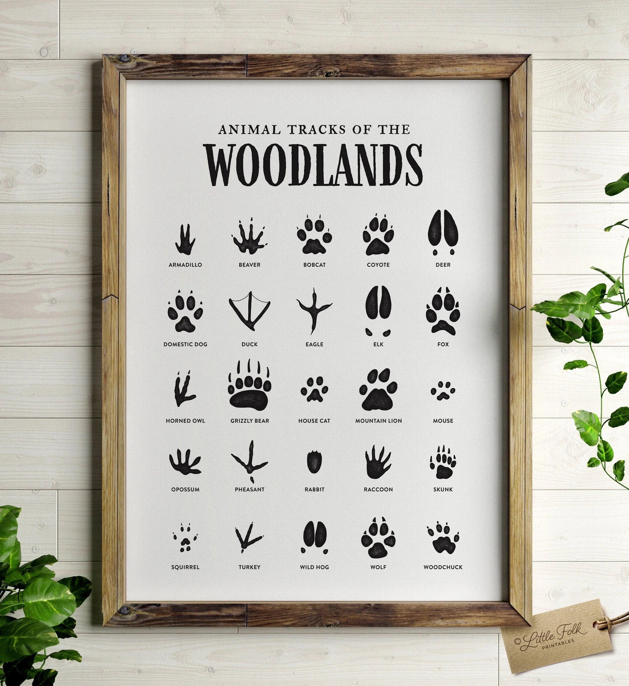 Animal Tracks Print Printable Wall Art Woodland Nursery Decor Rustic Decor Outdoor Adventure Kids Art Digital Download Animal Tracks Print Printable Wall Art Woodland Nursery Decor Rustic Decor Outdoor Adventure Kids Art Digital Download