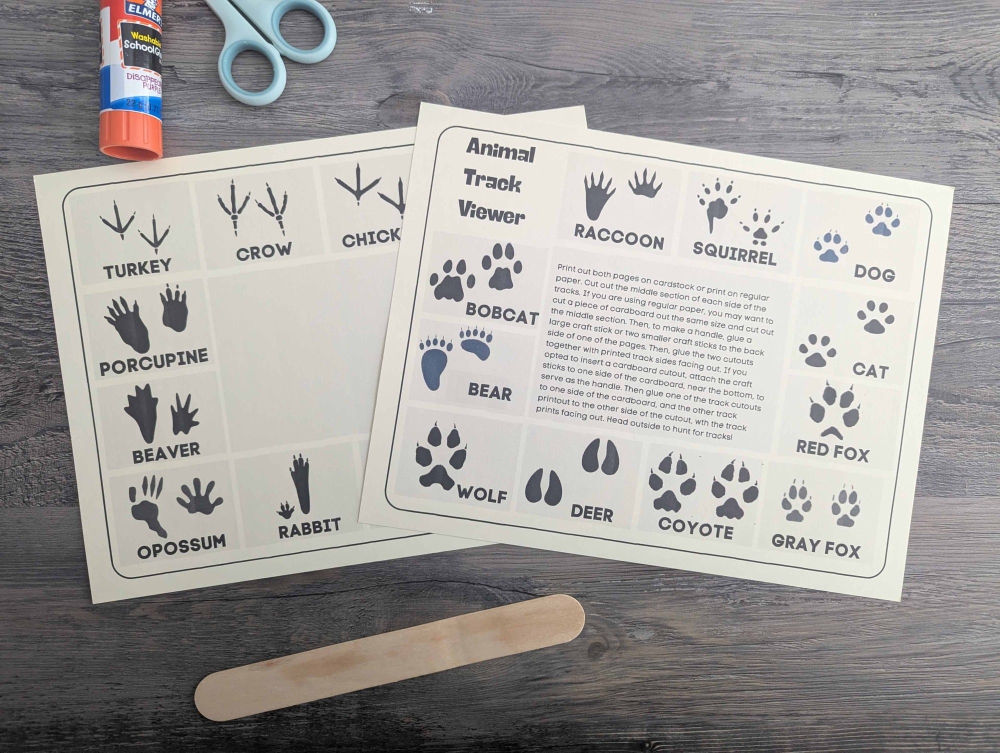 Animal Tracks Printable Animal Tracks Printable