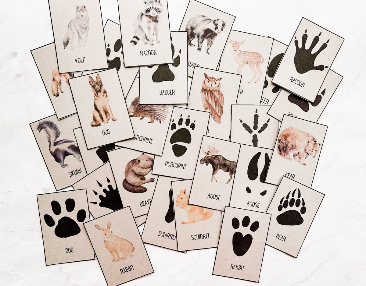 Animal Tracks Printable Cards