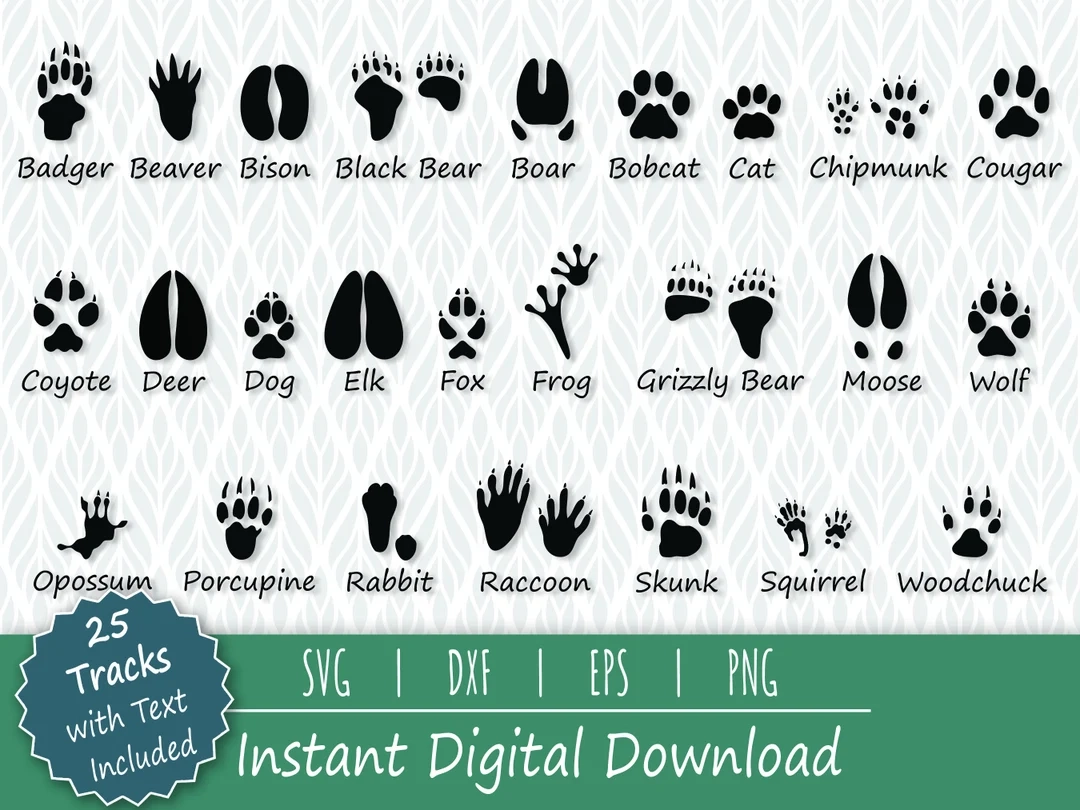 Animal Tracks Svg 25 Wildlife Designs Animal Tracks Svg 25 Wildlife Designs