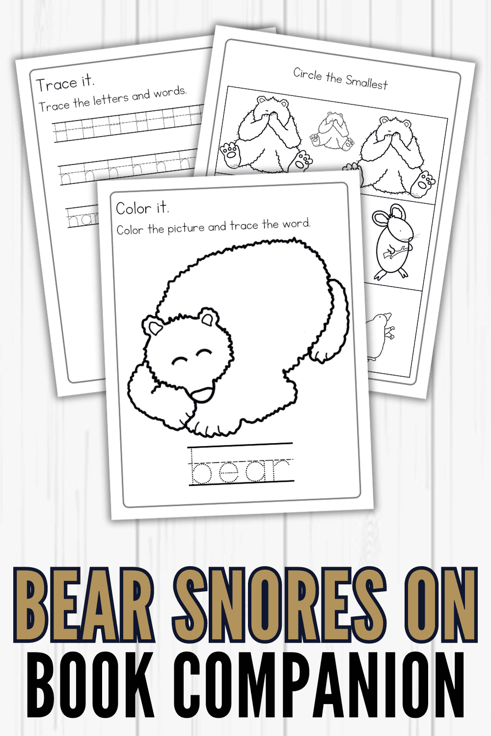 Bear Snores On Activities