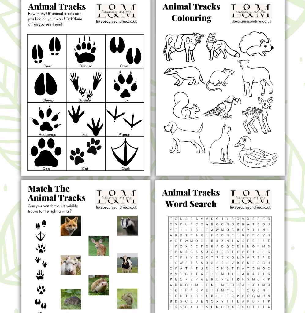 British Wildlife Tracks Worksheets