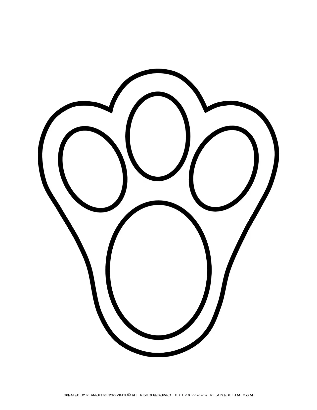 Bunny Footprint