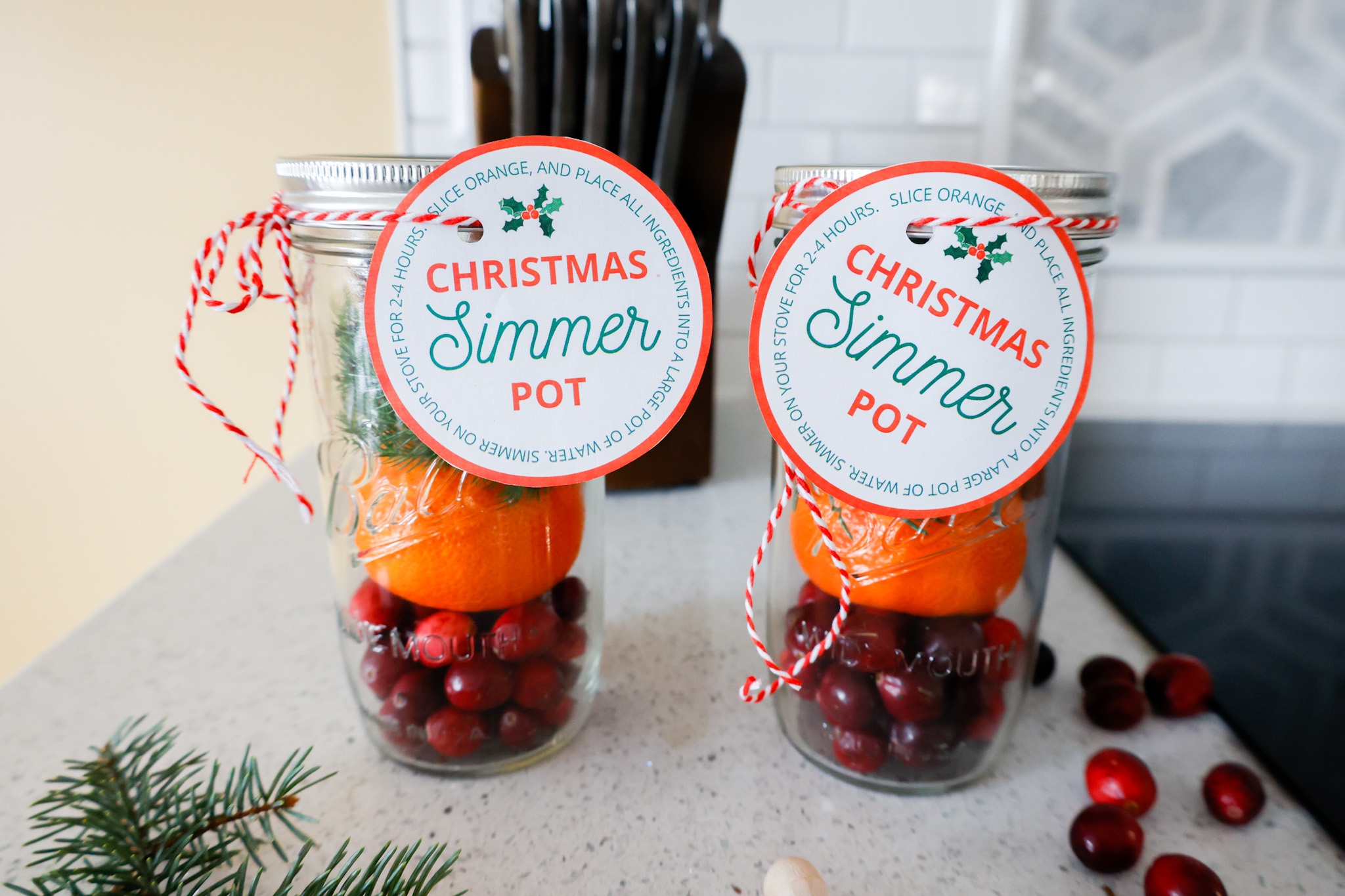 christmas simmer pot gift tag printable