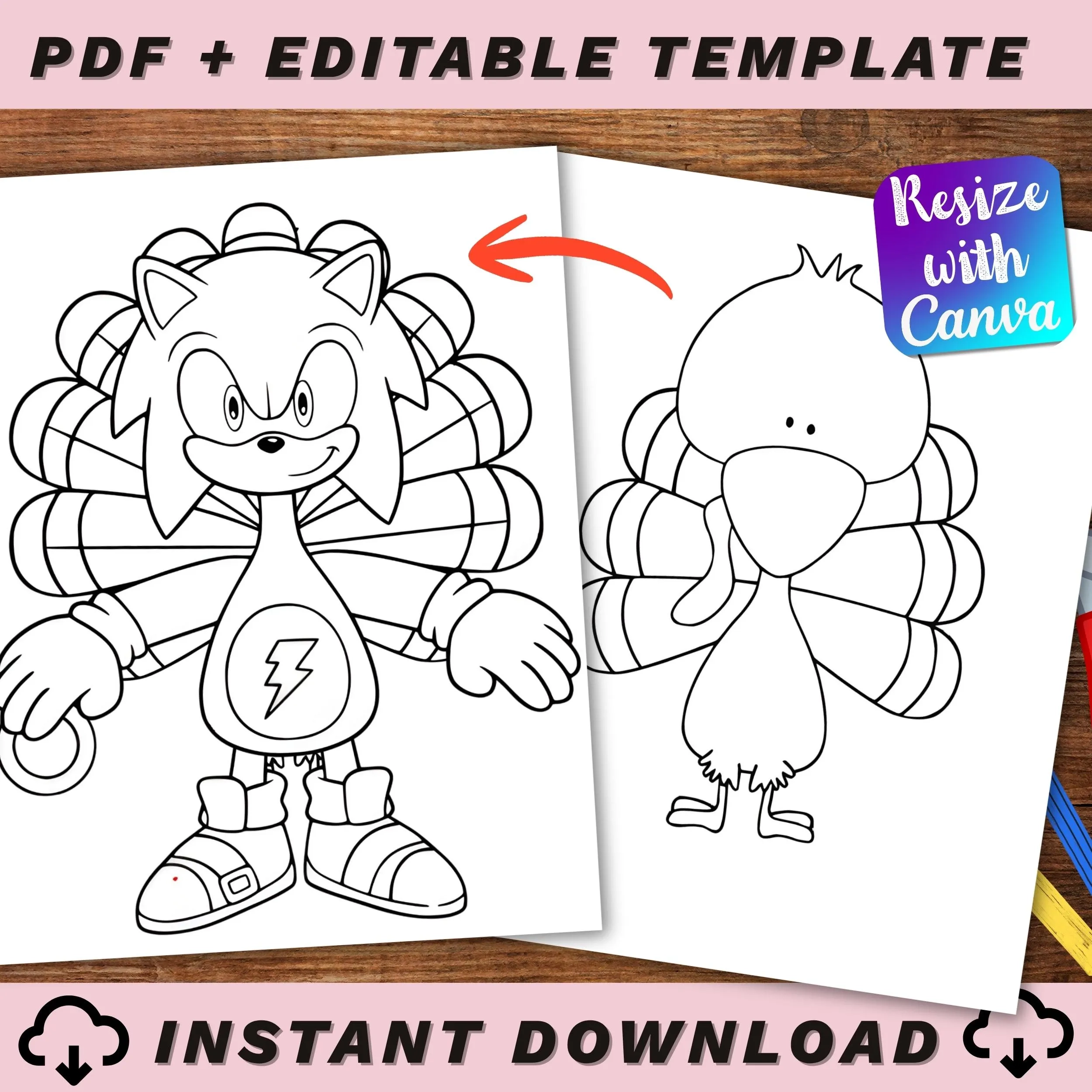 Disguise A Turkey Project Kit Sonic