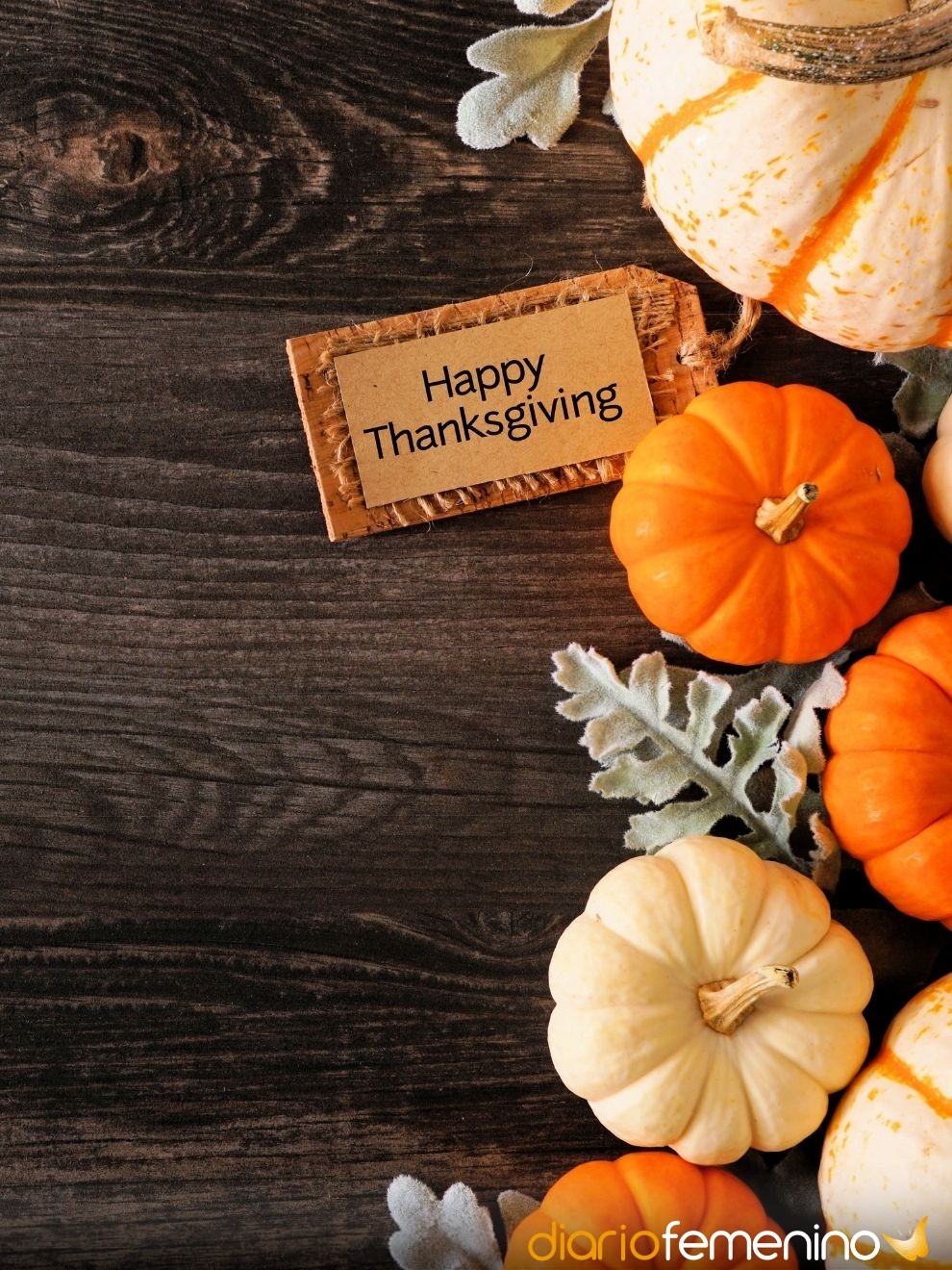 Feliz Dia De Accion De Gracias Frases De Gratitud Para Thanksgiving Feliz Dia De Accion De Gracias Frases De Gratitud Para Thanksgiving