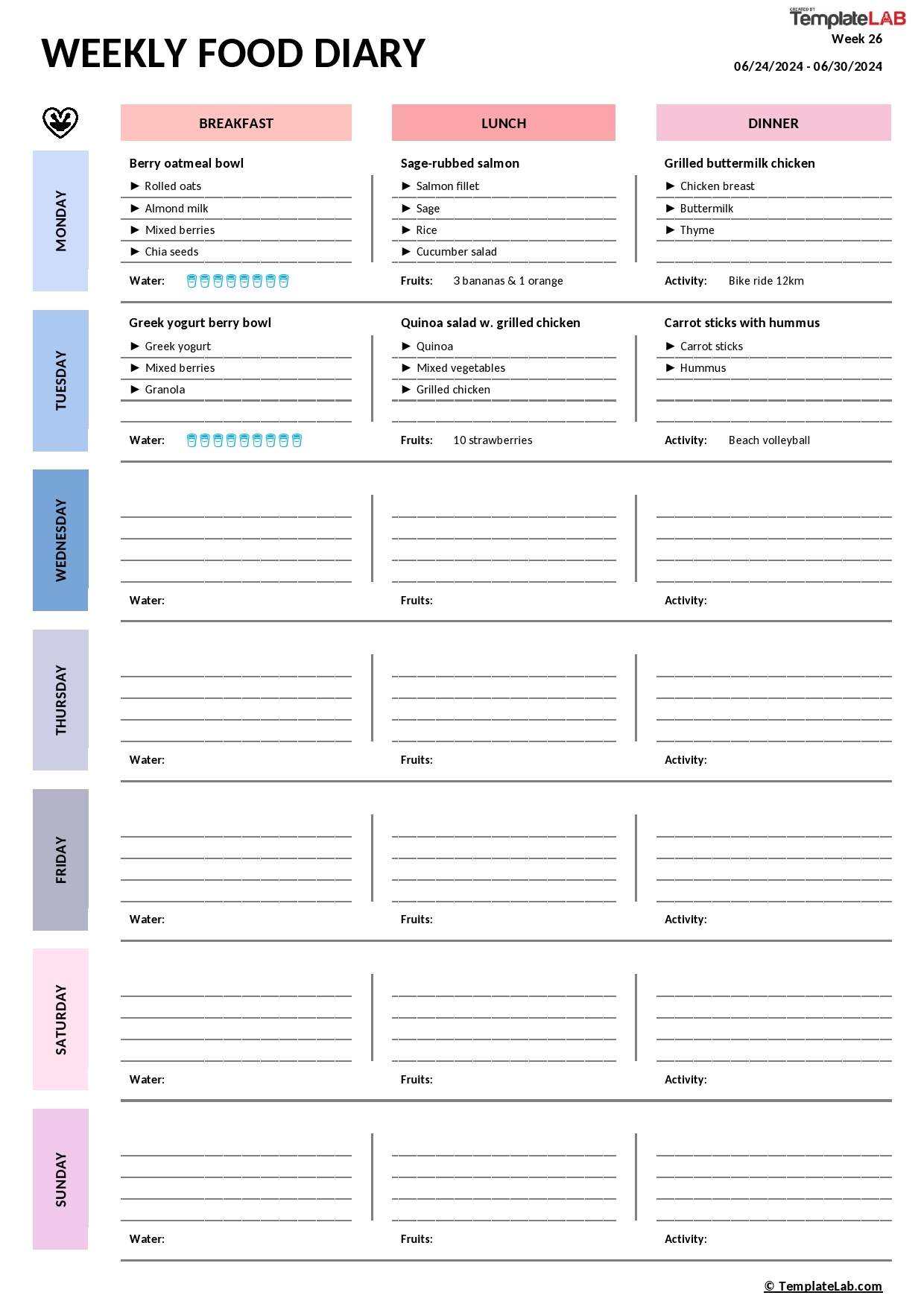 Food Diary Templates Food Diary Templates
