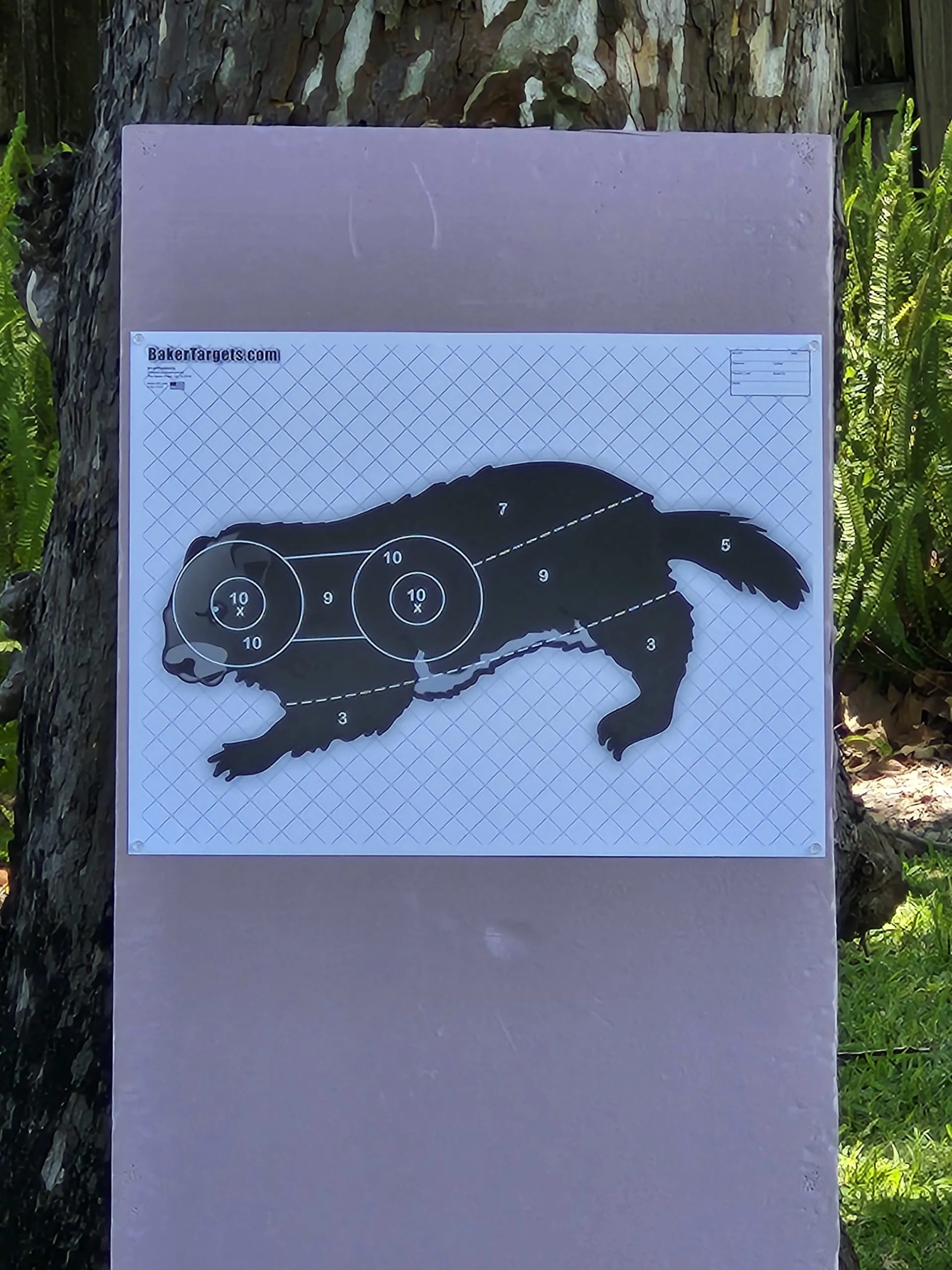 Groundhog Target