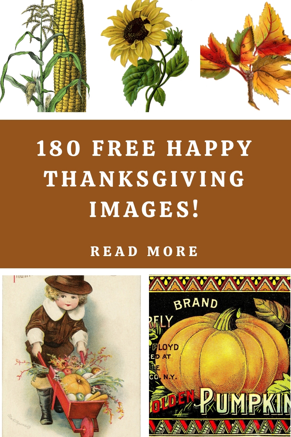 Happy Thanksgiving Images