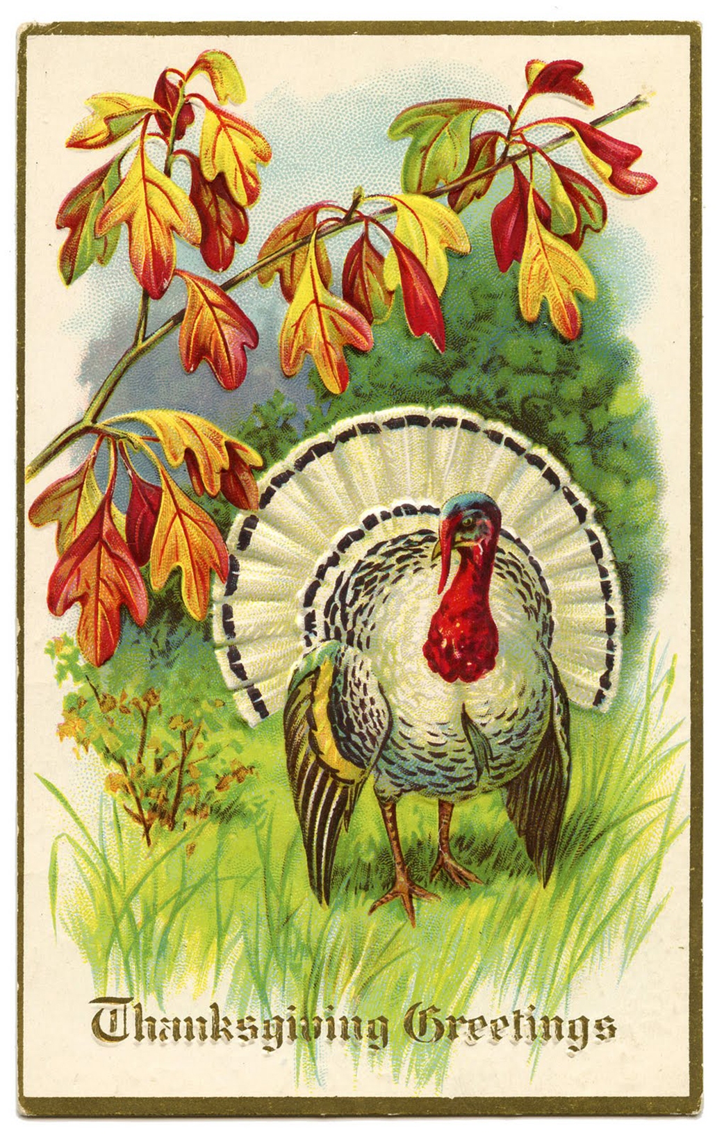 Happy Thanksgiving Images