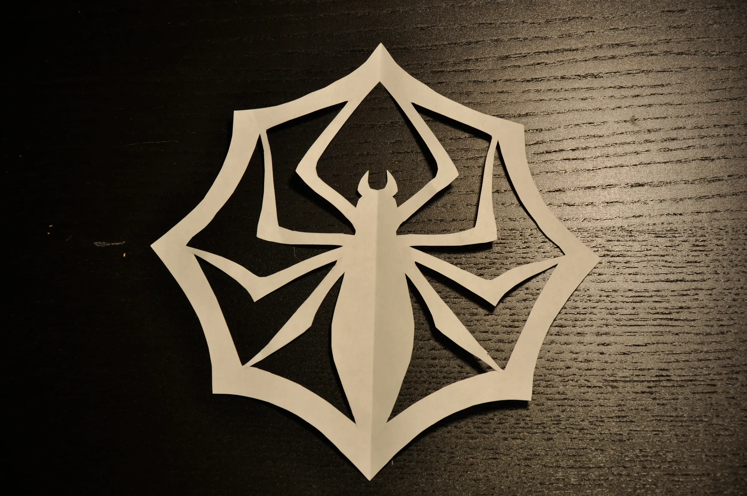 Jacks Paper Spider Snowflake