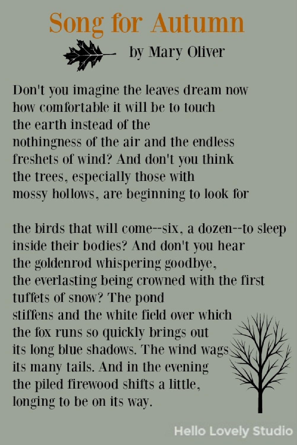 Mary Oliver Poems Mary Oliver Poems