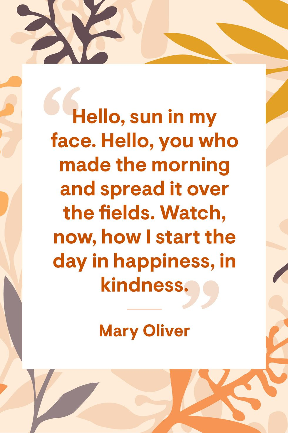 Mary Oliver Quotes Mary Oliver Quotes