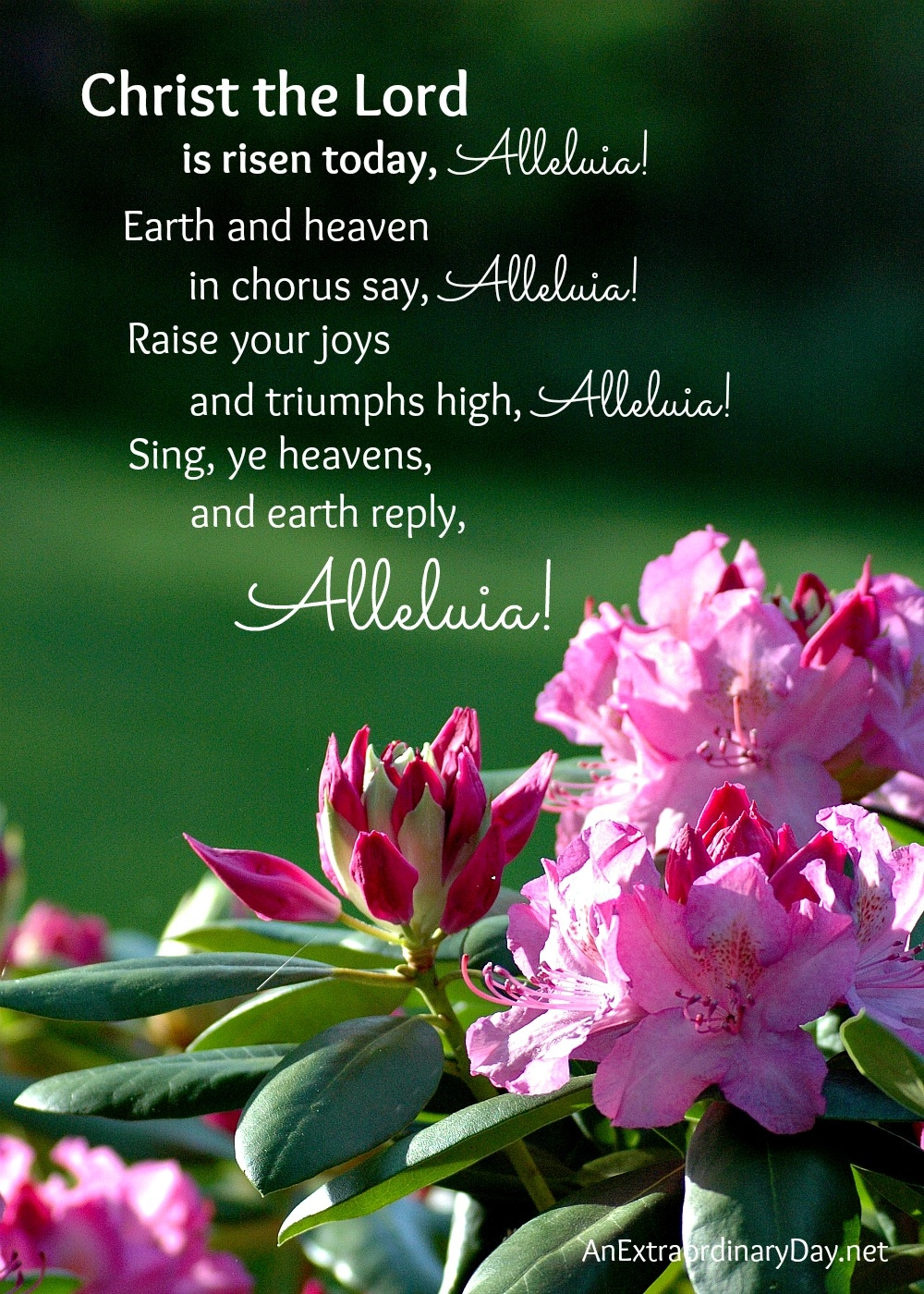 hallelujah easter version lyrics printable hallelujah easter version lyrics printable