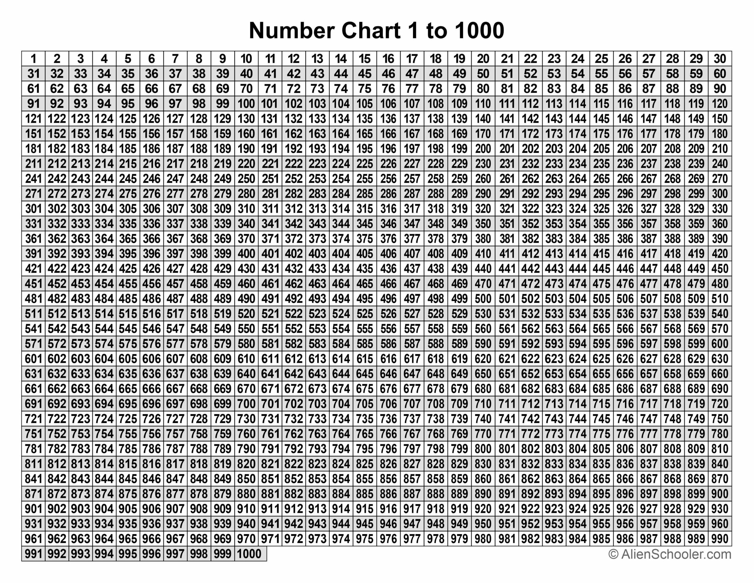 Number Chart 1 1000