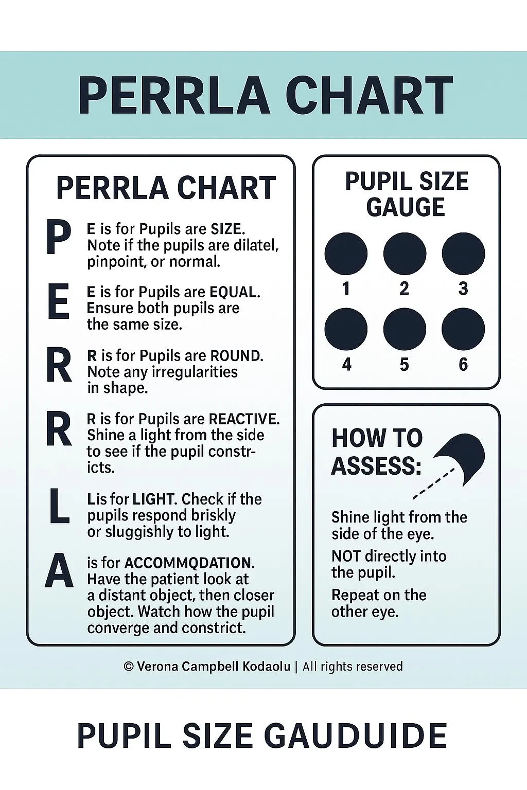 Perrla Chart Pupil Size Gauge Nursing