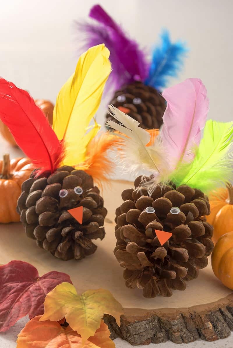 pinecone turkey template pinecone turkey template