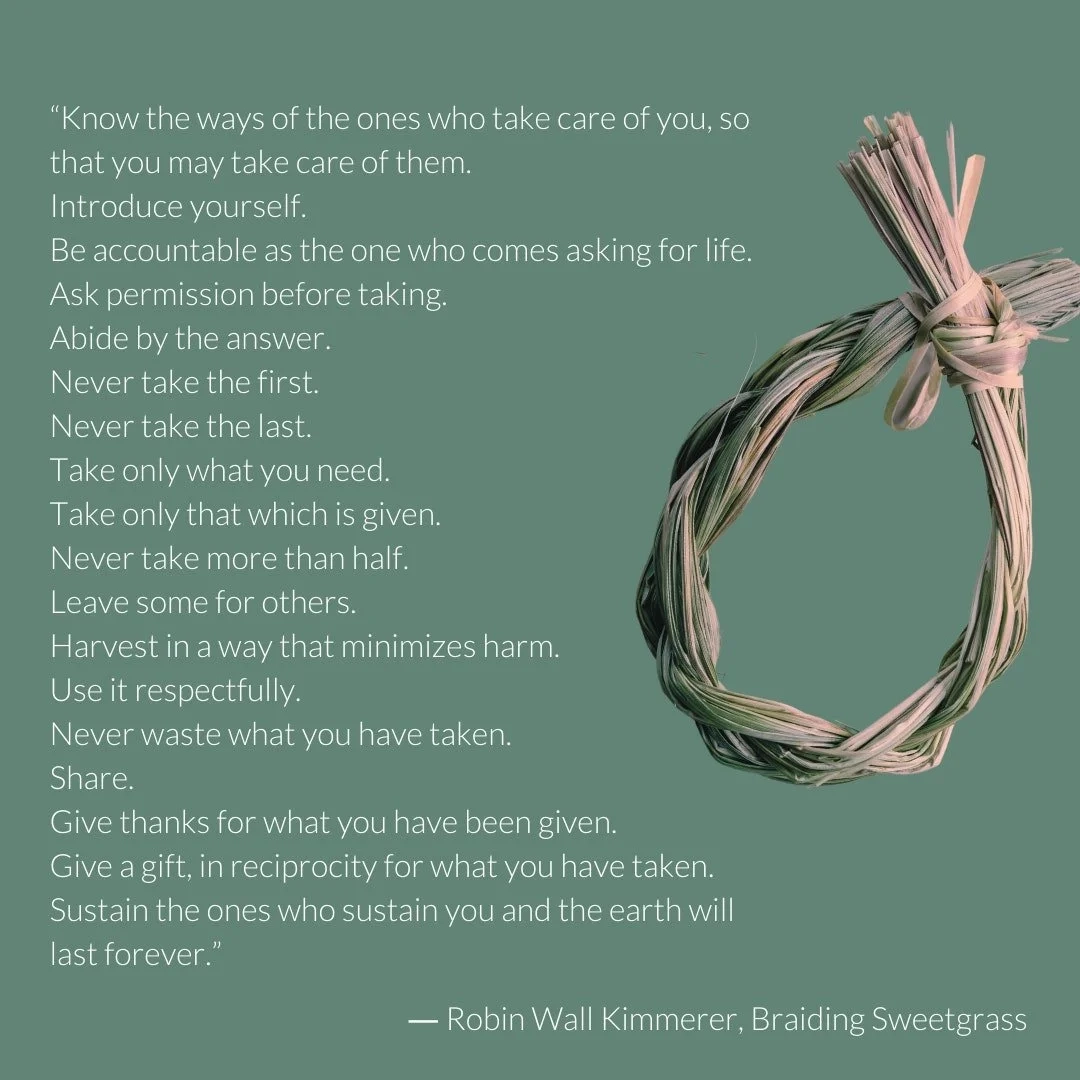 Poems Of Gratitude And Resilience