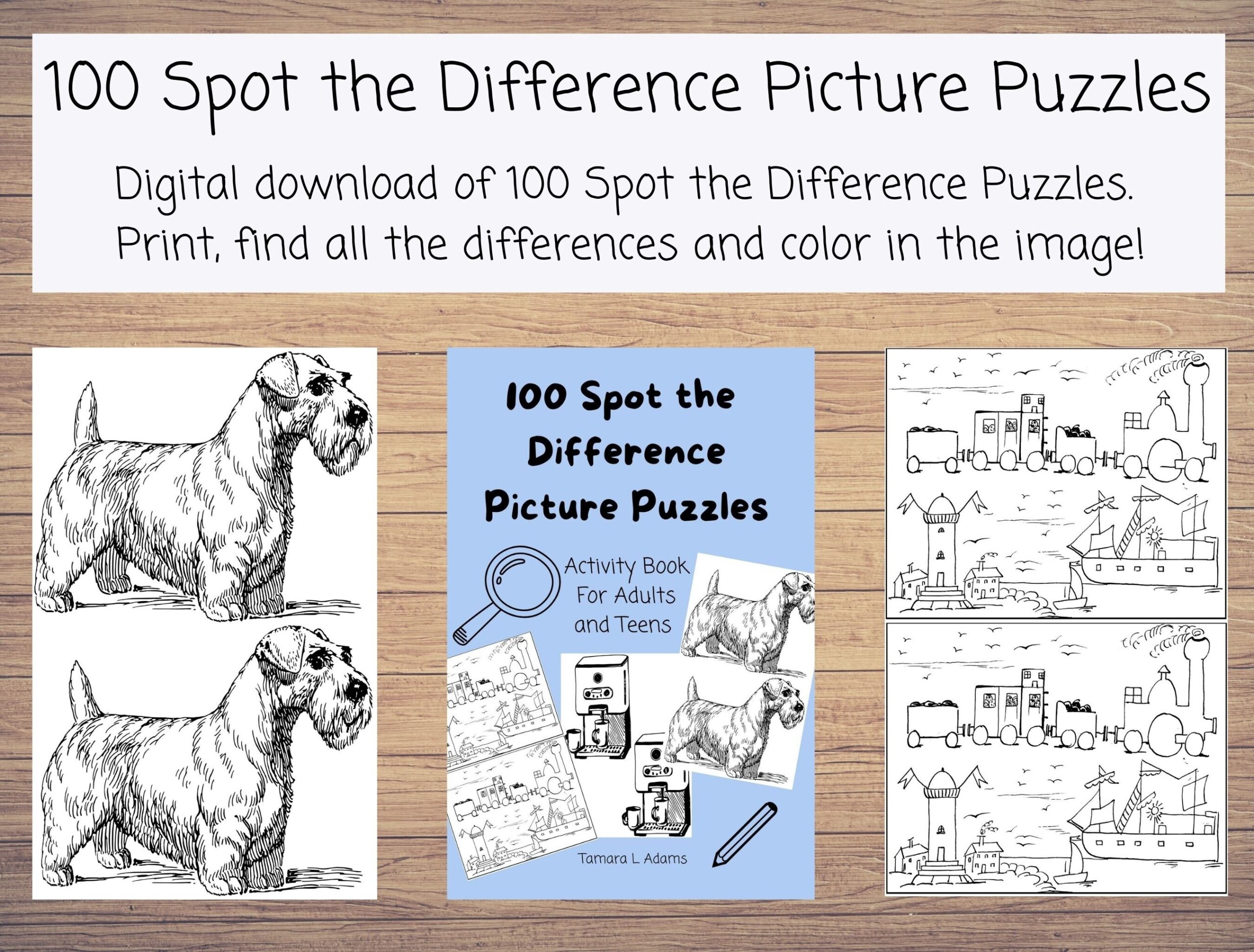 free printable spot the difference puzzles for adults