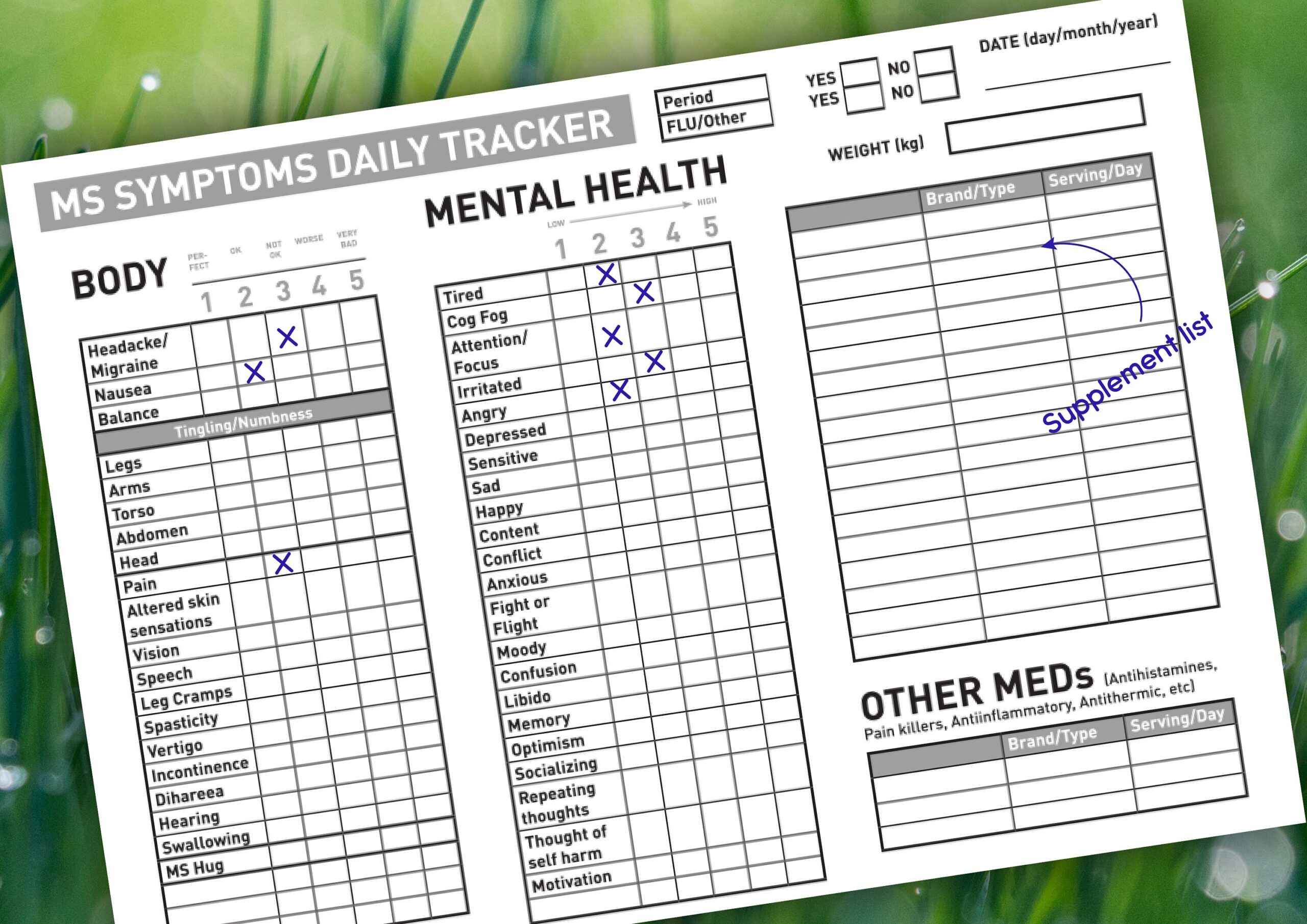 Printable Gray Ms Symptom Daily Tracker