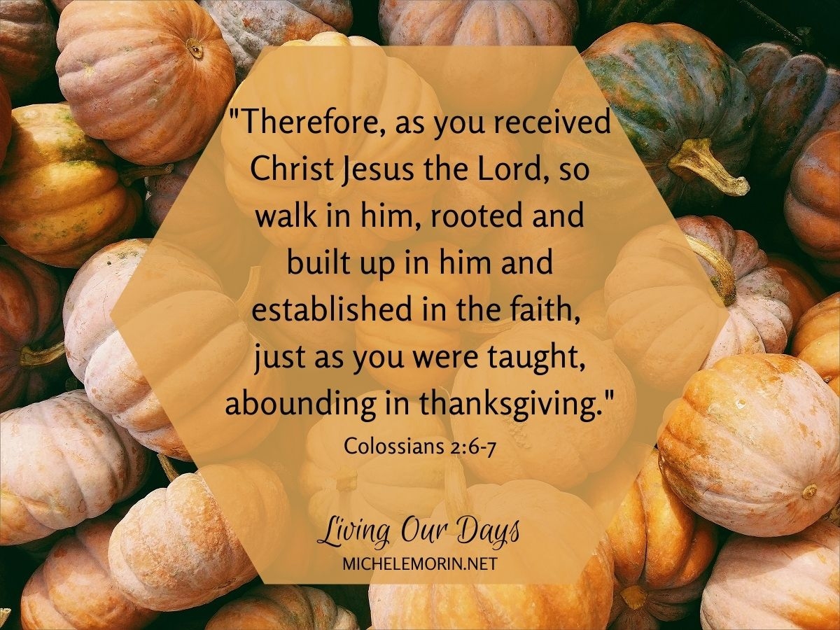 Purposeful Thanksgiving Life More Afterthought