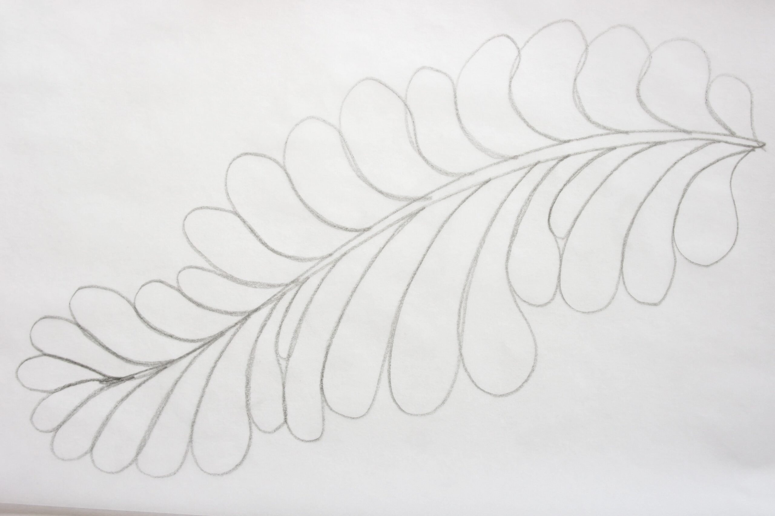 Quilting Free Motion Feathers How Do You Start
