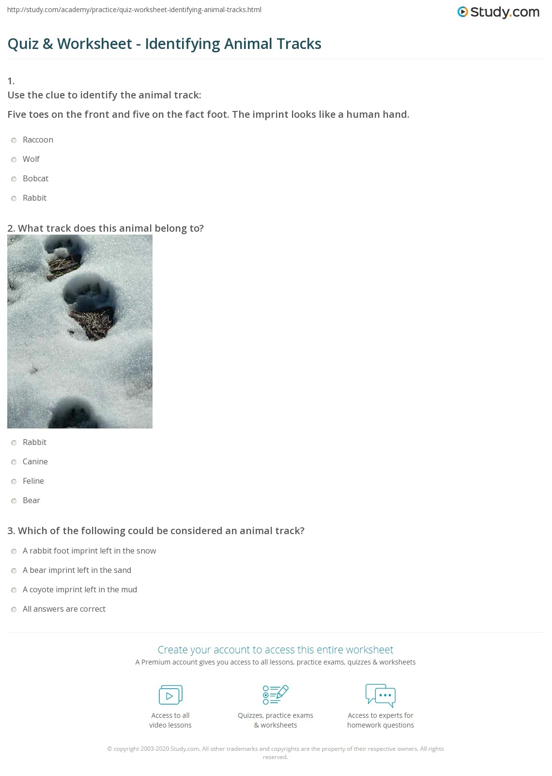animal tracks quiz printable animal tracks quiz printable