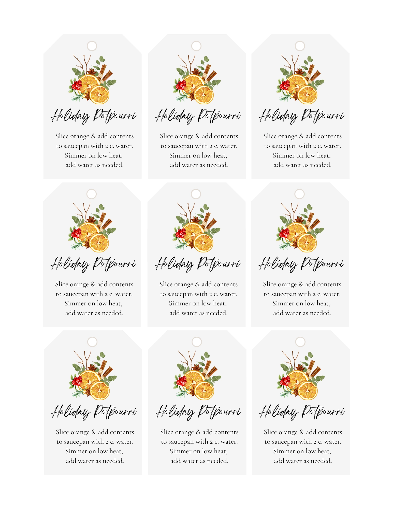 Simmer Pot Gift Tag B8631d6 03 2823918 2 27