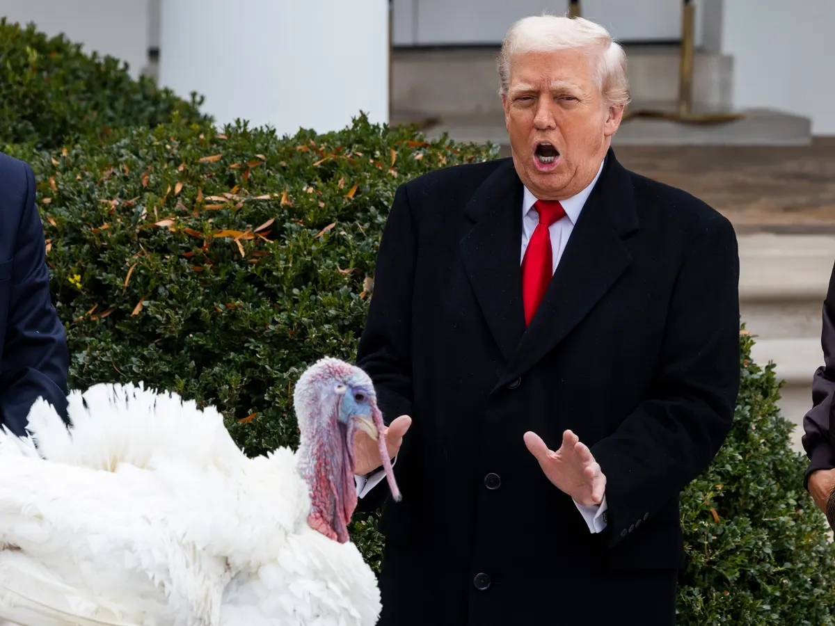 Thanksgiving Trump Turkey Tradition Thanksgiving Trump Turkey Tradition