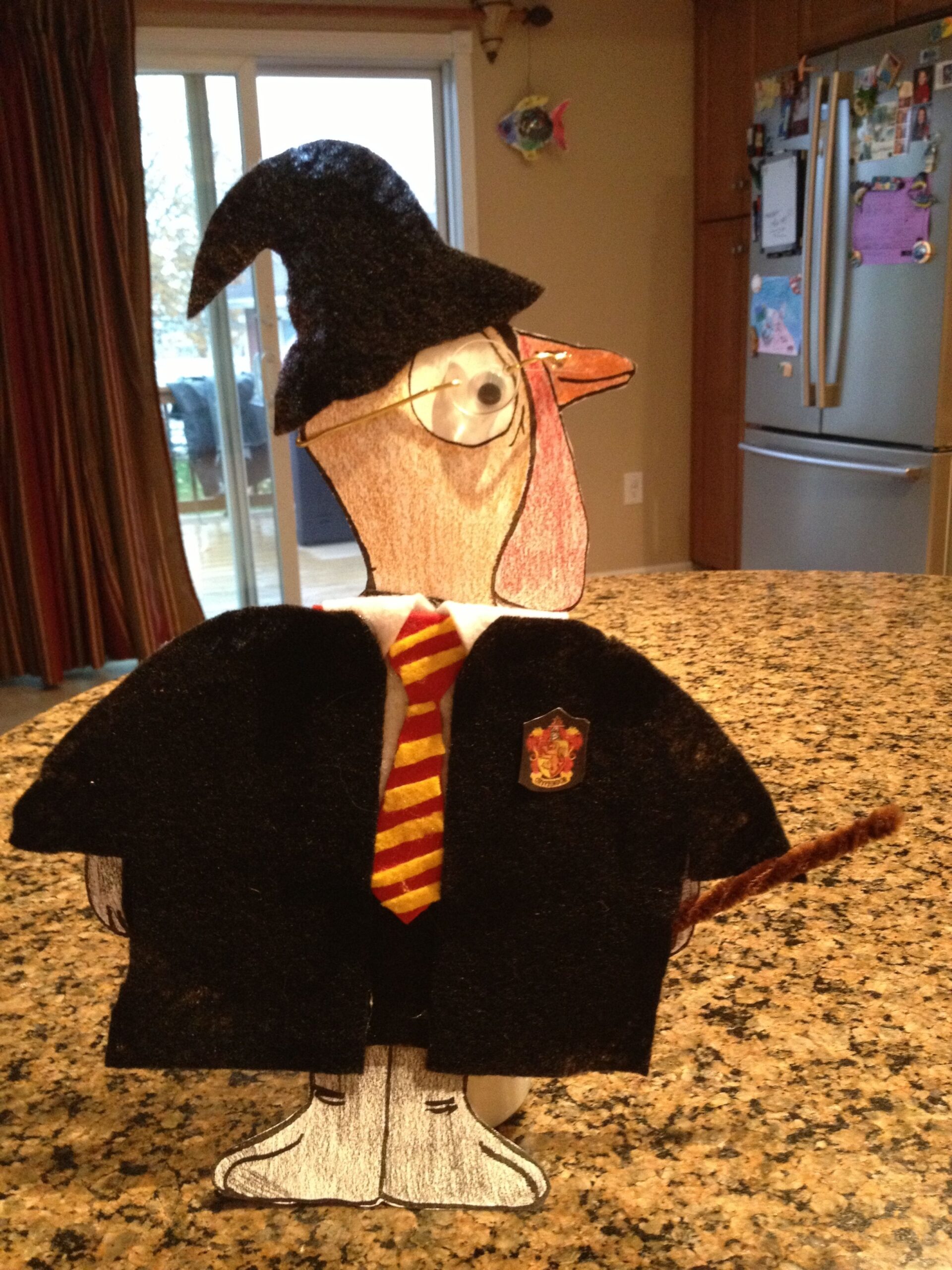 Turkey Disguise Project