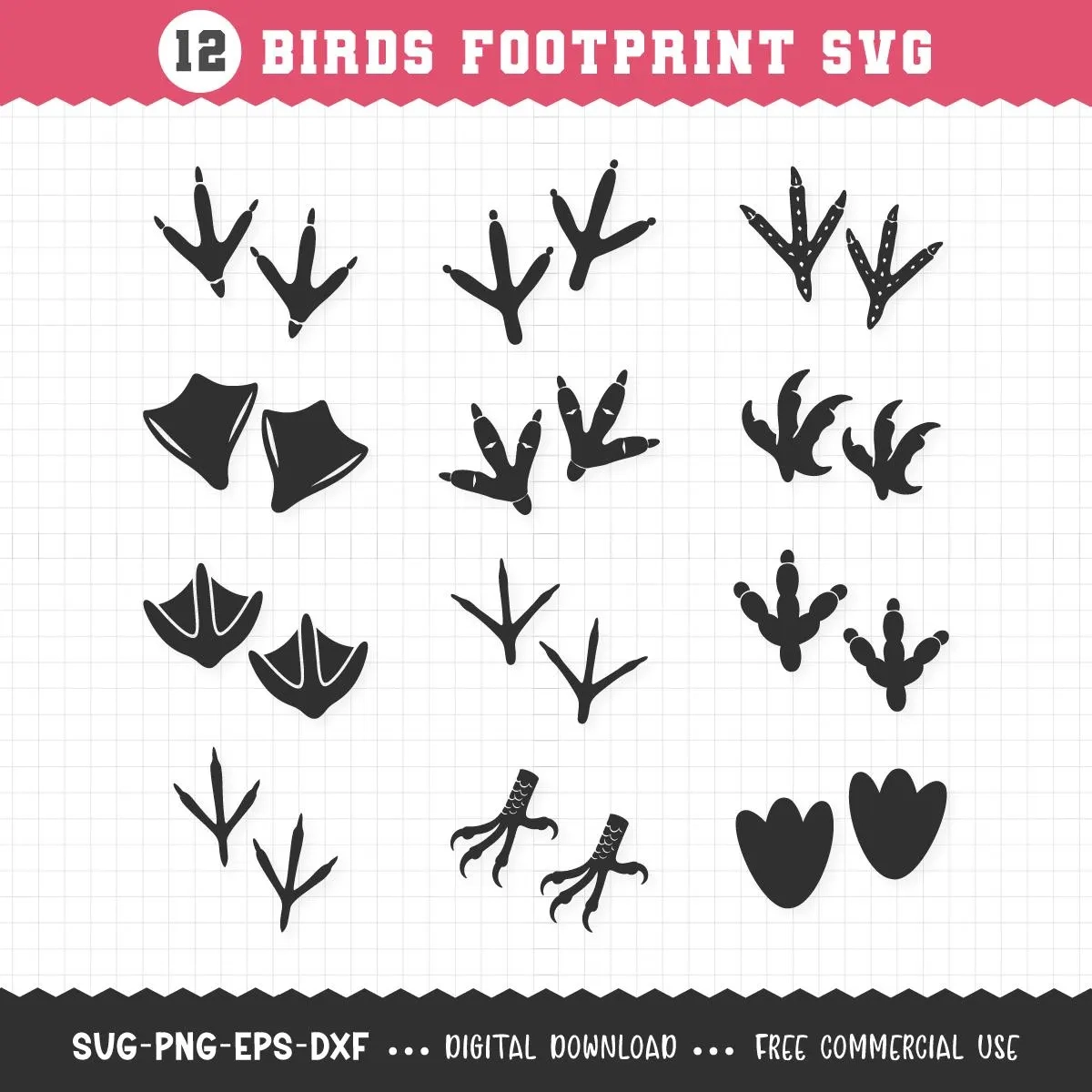 Turkey Feet Prints Turkey Feet Prints